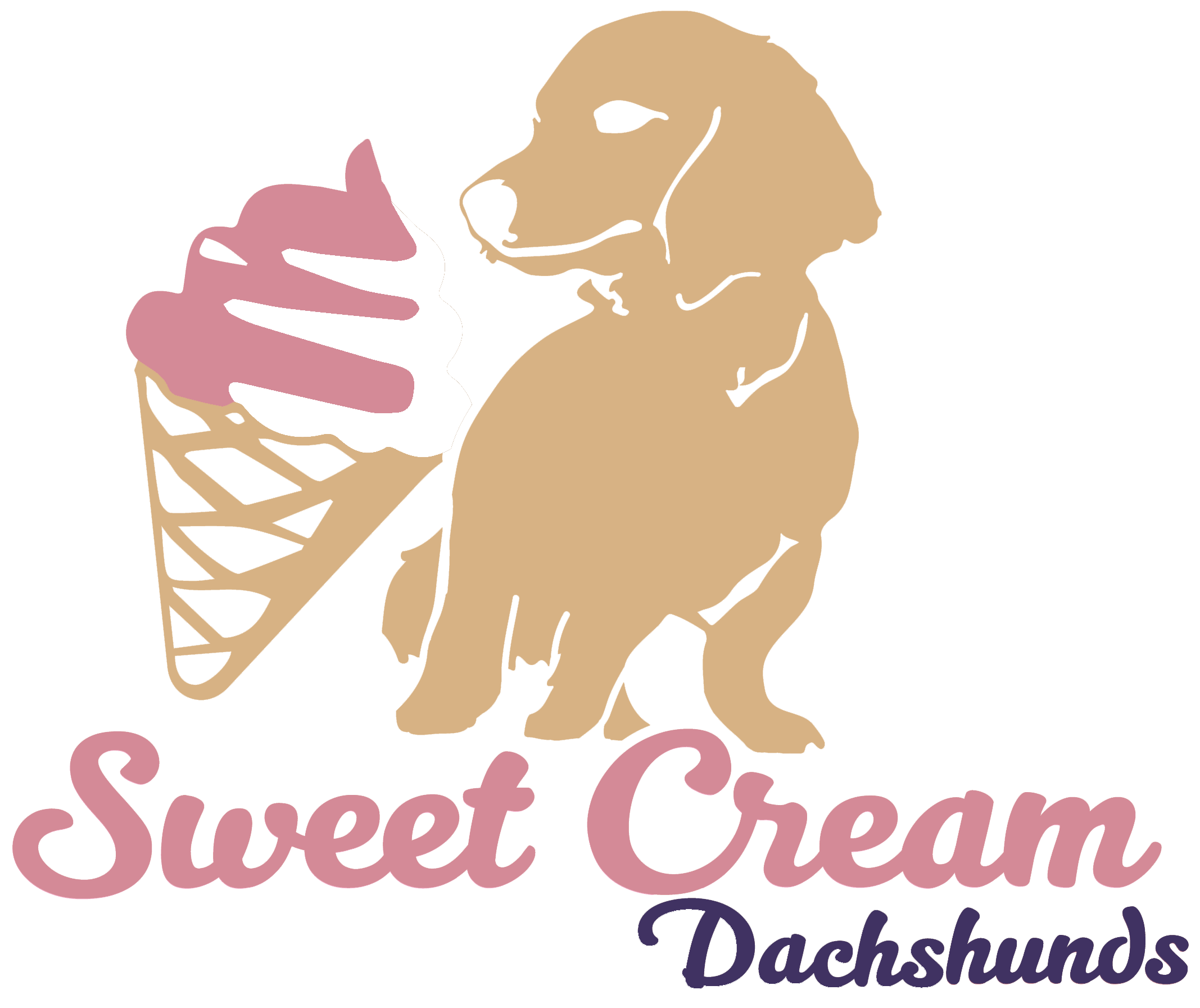 Specializing In Quality Akc Home Bred Long Haired Miniature - Dog Catches Something (2134x1810), Png Download