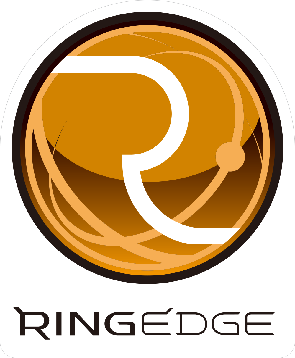 Sega Ringedge - Sega Ringedge Png (1000x1210), Png Download