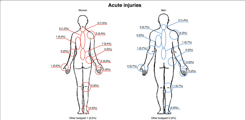 Body Part Diagram For Workplace Injuries Wiring Diagram - Human Body Outline (850x418), Png Download