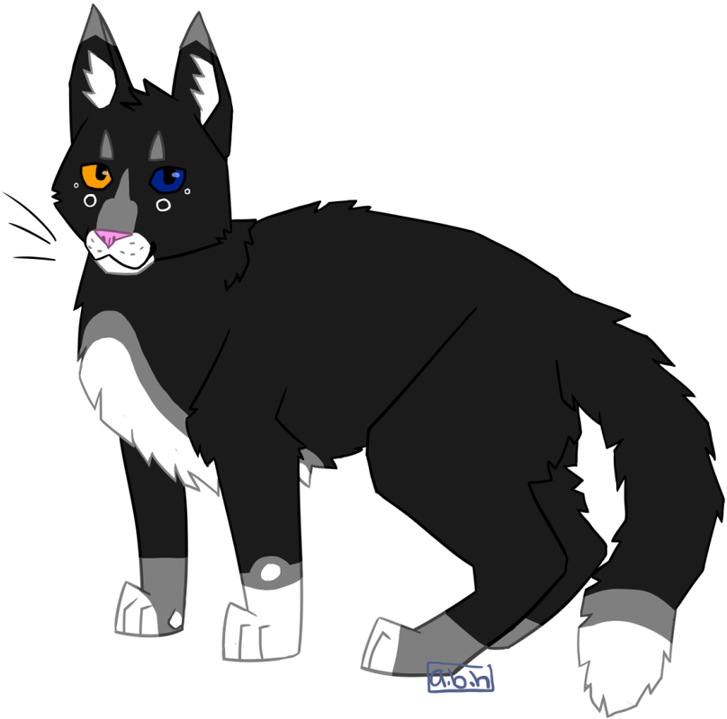 Picture - Cat Yawns (1067x800), Png Download