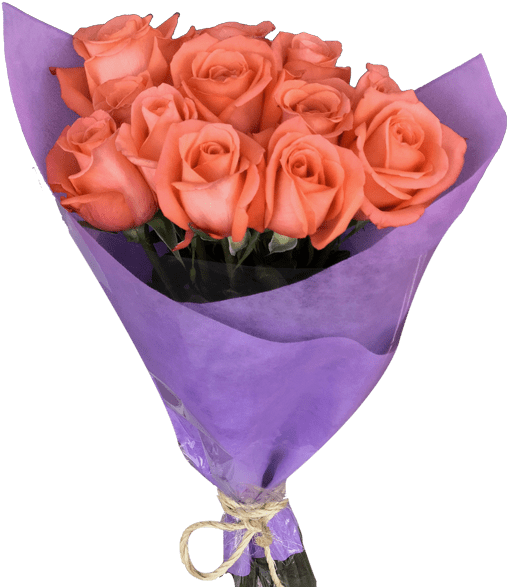 Diy 12 Orange Roses Bouquet Magnaflor - Bouquet (600x600), Png Download