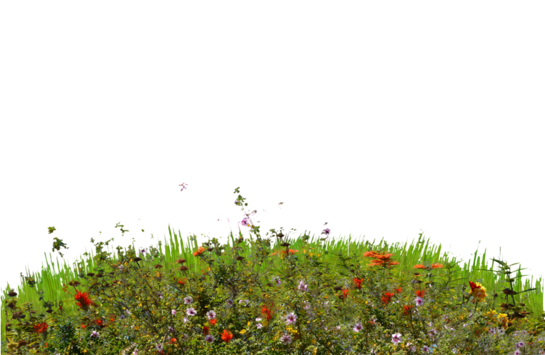 Grass Hill Png - Grass (763x1046), Png Download