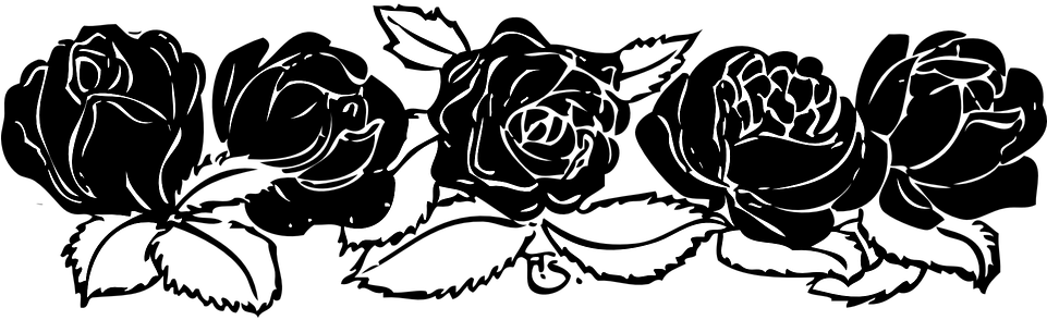 Rose Is A Rose Is A Rose Gertrude Stein (960x480), Png Download