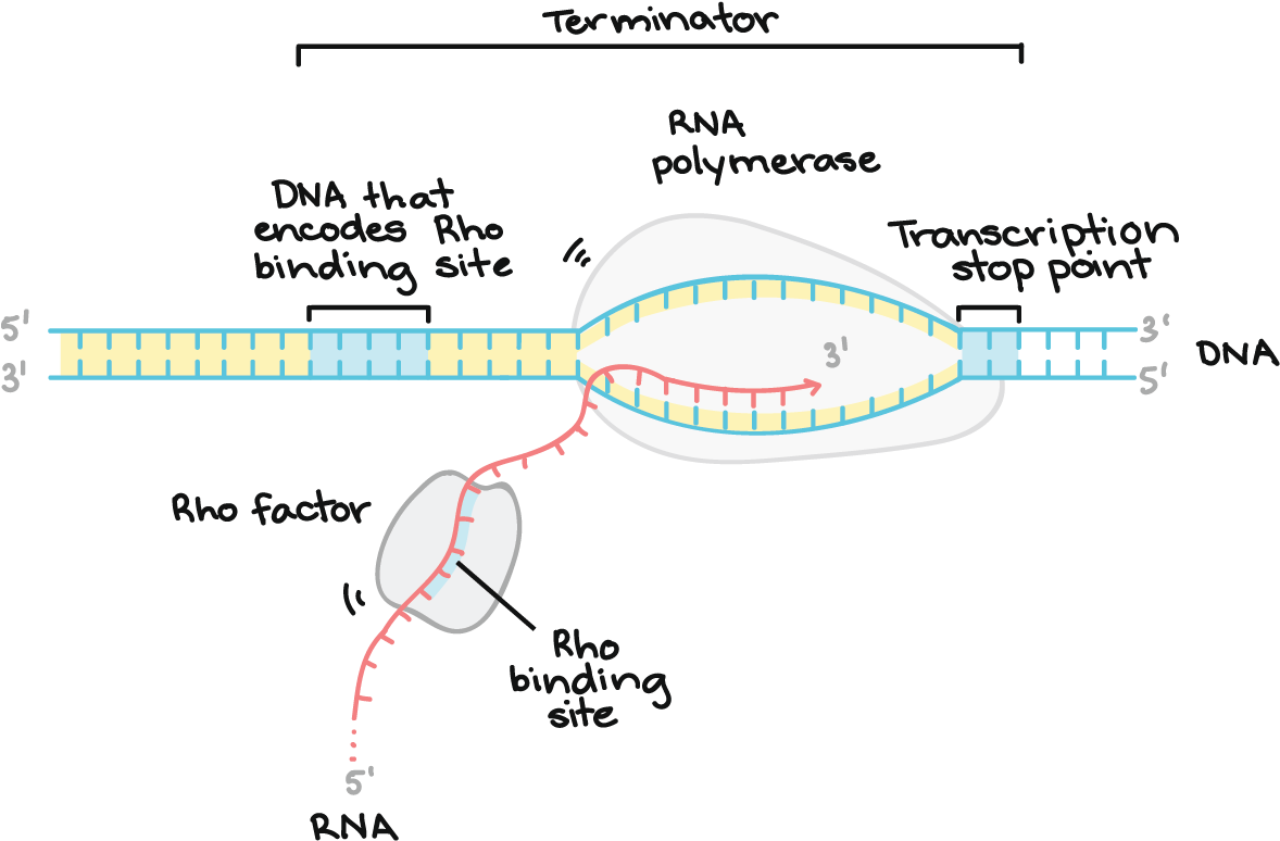 1367 X 806 9 - Diagram (1367x806), Png Download
