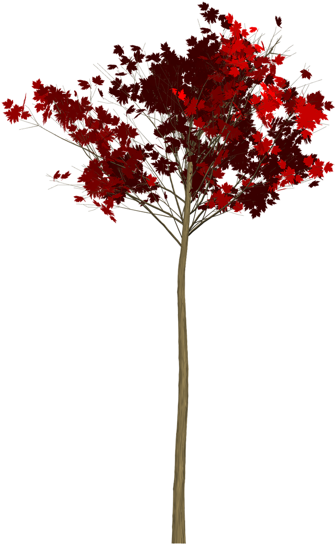 Maple,tree,painted Tree,red,nature,image Painting,plant, - Tree (1280x1280), Png Download