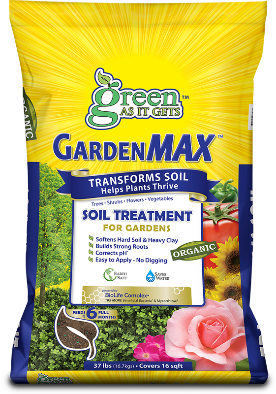 Flower (561x800), Png Download