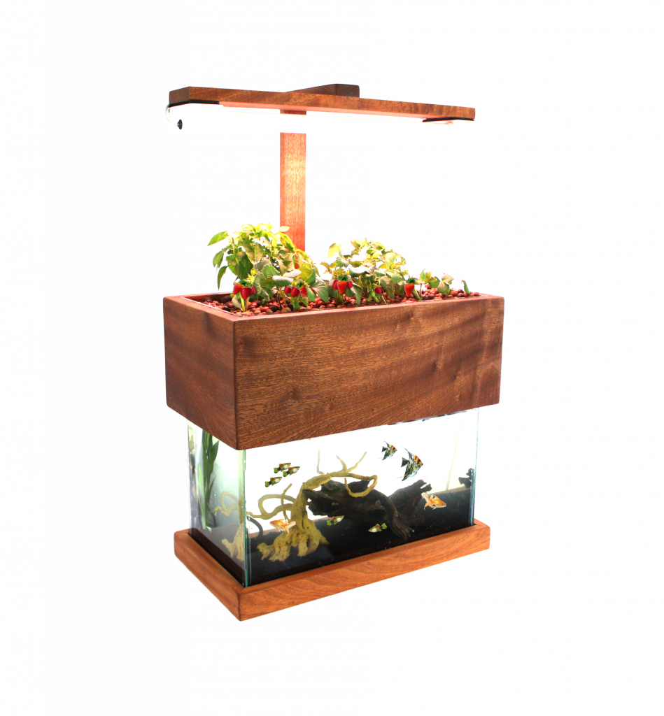 Herb Garden - Houseplant (949x1024), Png Download