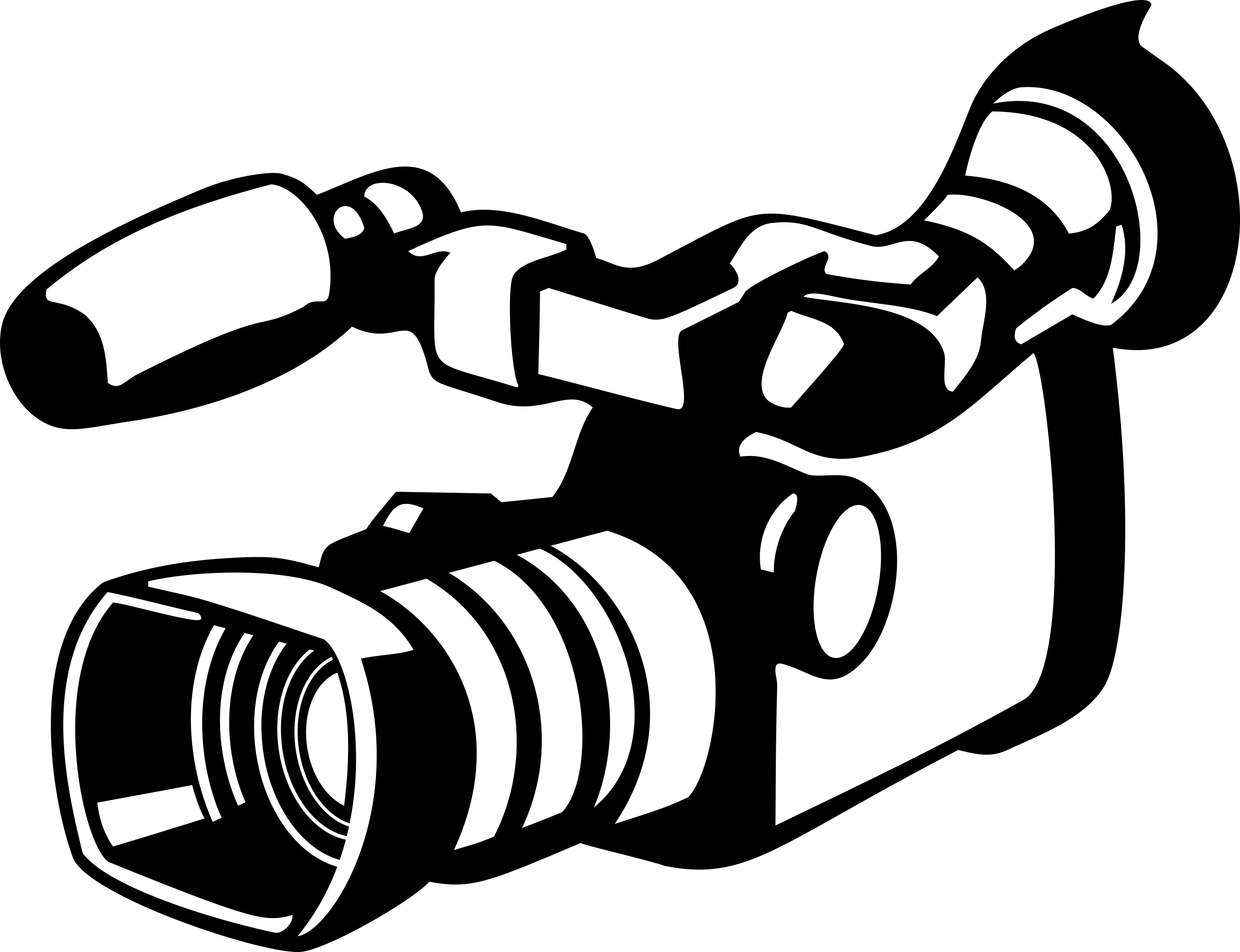 Cameras For Live Streaming Church - Camcorder Clipart (3000x2303), Png Download