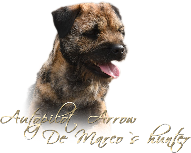 Bebe - Dog Yawns (800x600), Png Download