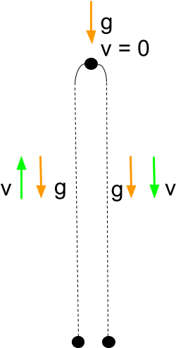 Direction Of Velocity And Acceleration For A Ball Thrown - Diagram (563x642), Png Download