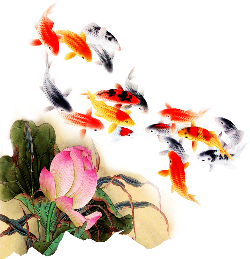 Computer File Kam Transprent Png Petal Organism - Jumping Koi Fish Png (1000x1000), Png Download