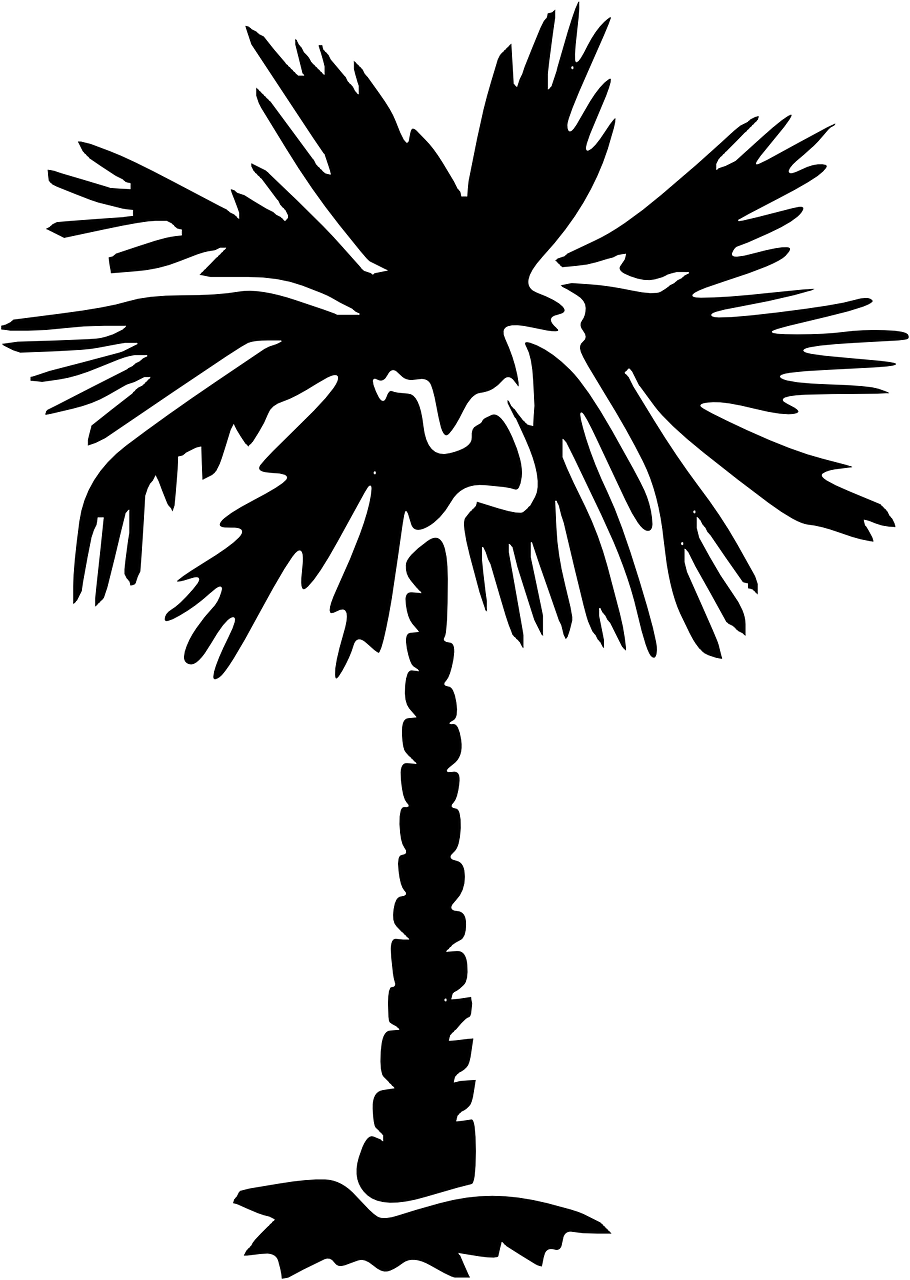 Palm Tree Silhouette Palm - California Heaven Schoolboy Q (910x1280), Png Download