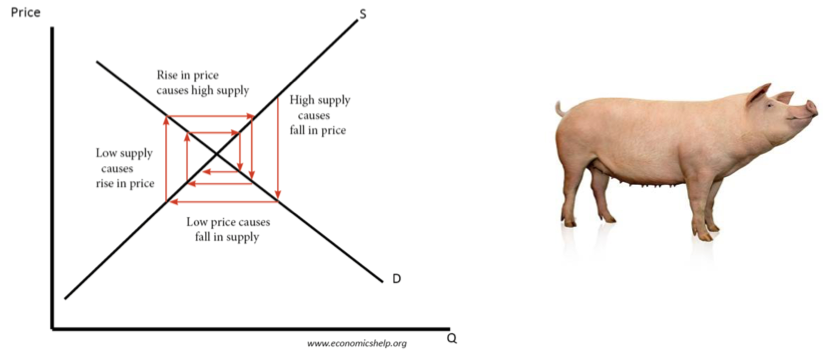 Changes In The Price Of An Agricultural Product Over - Diagram (899x389), Png Download