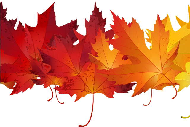 Autumn Leaves Clipart Transparent Background - Red Autumn Leaves Clipart (640x480), Png Download