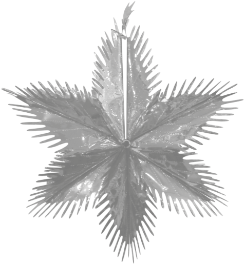 Christmas Metallic Foil Starburst 60cm - Pond Pine (800x620), Png Download