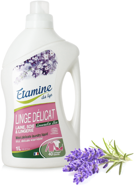 Passion Flower (728x660), Png Download