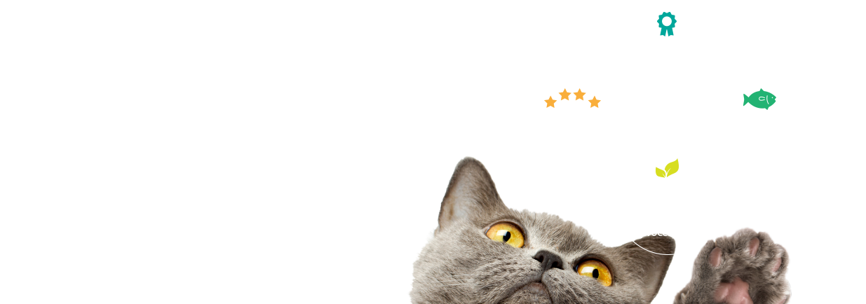 Pet Wellness Innovation - British Shorthair (1235x434), Png Download