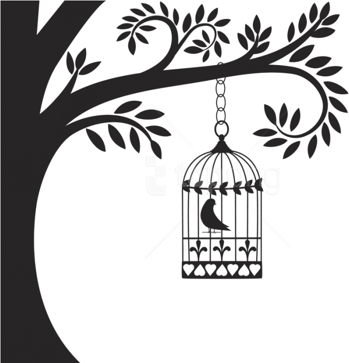 Free Png Download Cage Bird Clipart Png Photo Png Images - Bird In Cage Png (850x723), Png Download