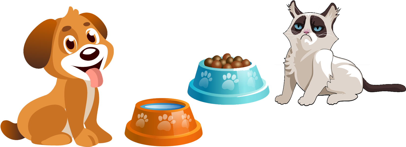 More - Cuccia Per Cani Png (1666x616), Png Download