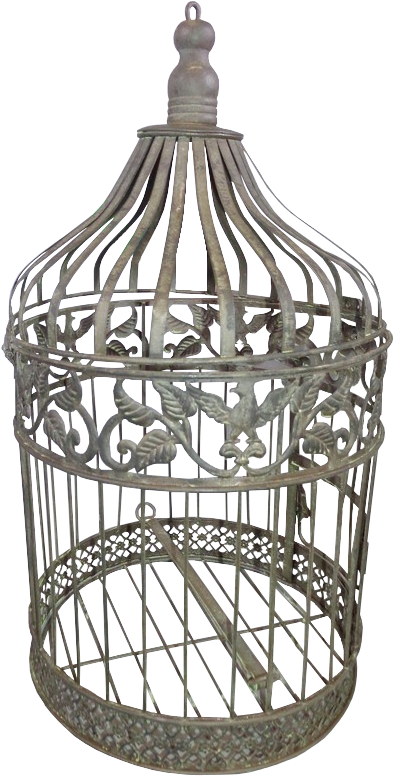 Birdcage - Cage (572x800), Png Download