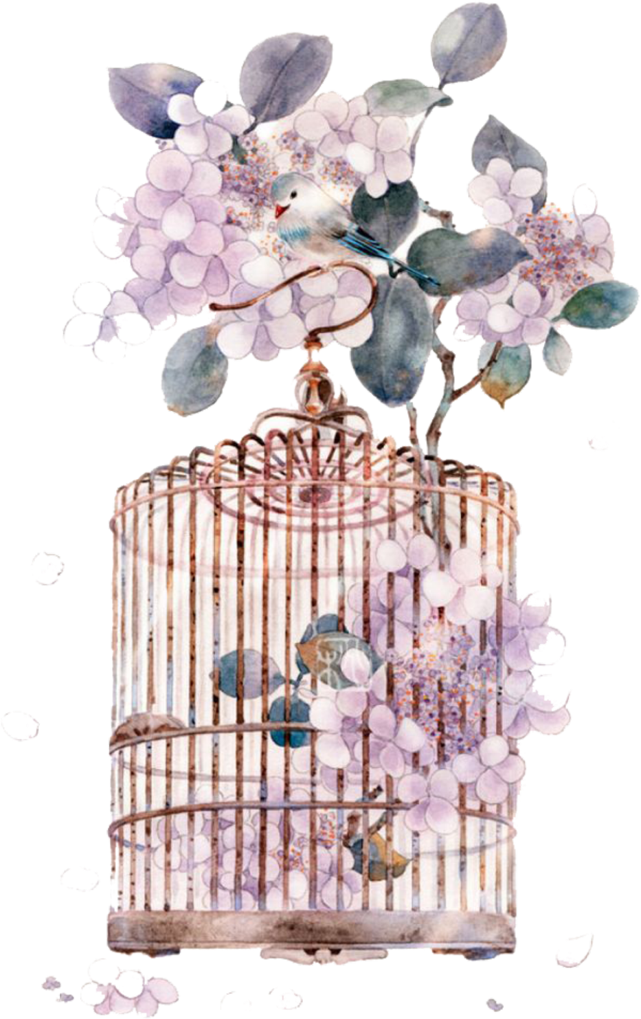 #ftestickers #watercolor #bird #birdcage #flowers - Watercolor Cage Png (1024x1738), Png Download