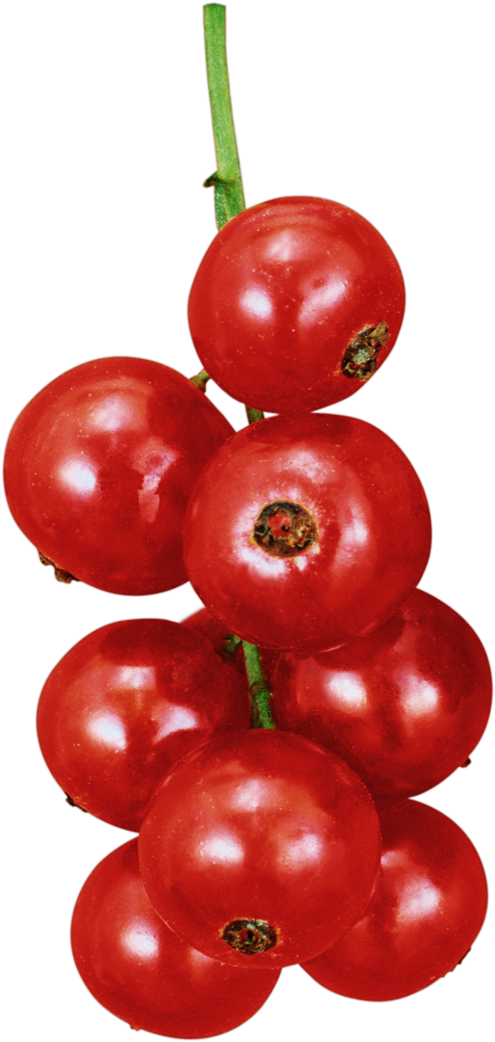 Gifs De Frutas Png (793x1500), Png Download