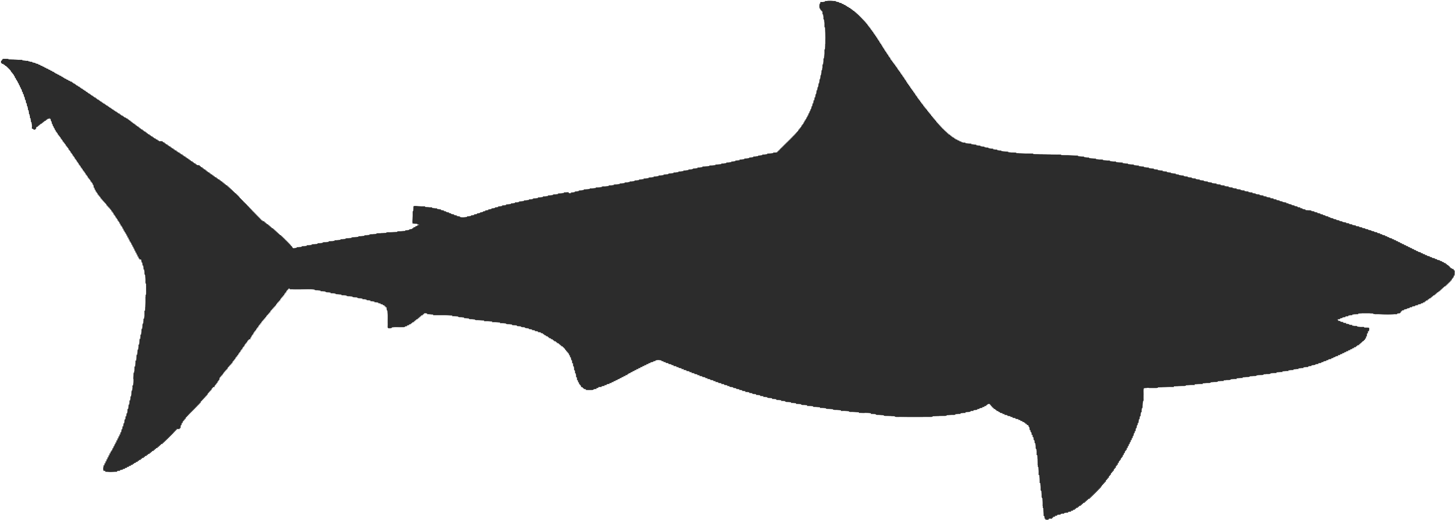 Shark (3600x3600), Png Download