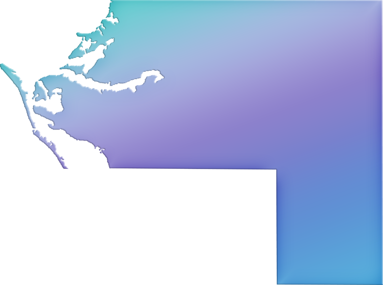 Manatee "abstract" Style - Snow (768x572), Png Download