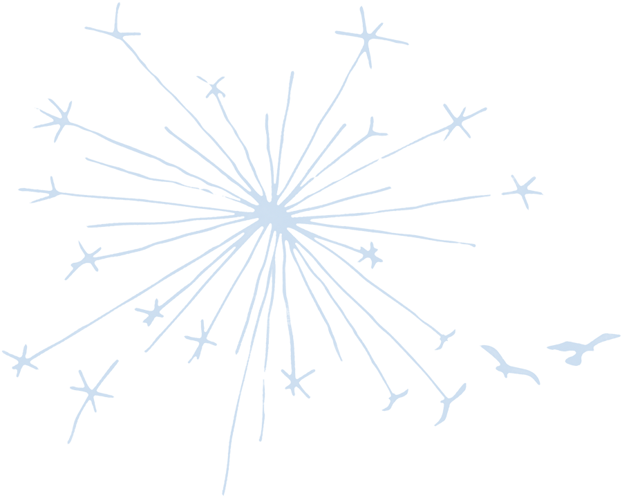 Download Diagram PNG Image with No Background - PNGkey.com