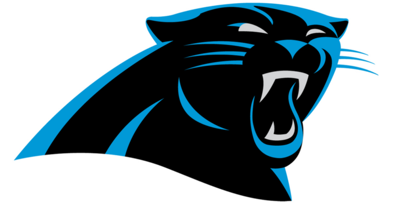 With South Carolina Leaders Wanting To Offer The Carolina - Panther Logo (800x600), Png Download
