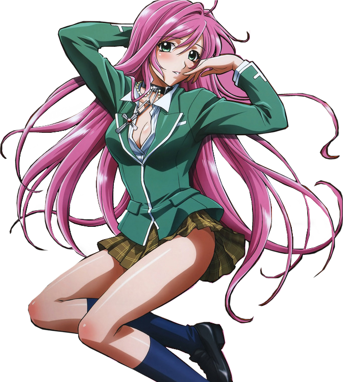 Moka Akashiya Photo Rosariomoka1 - Moka Rosario Vampire Sexy (690x768), Png Download