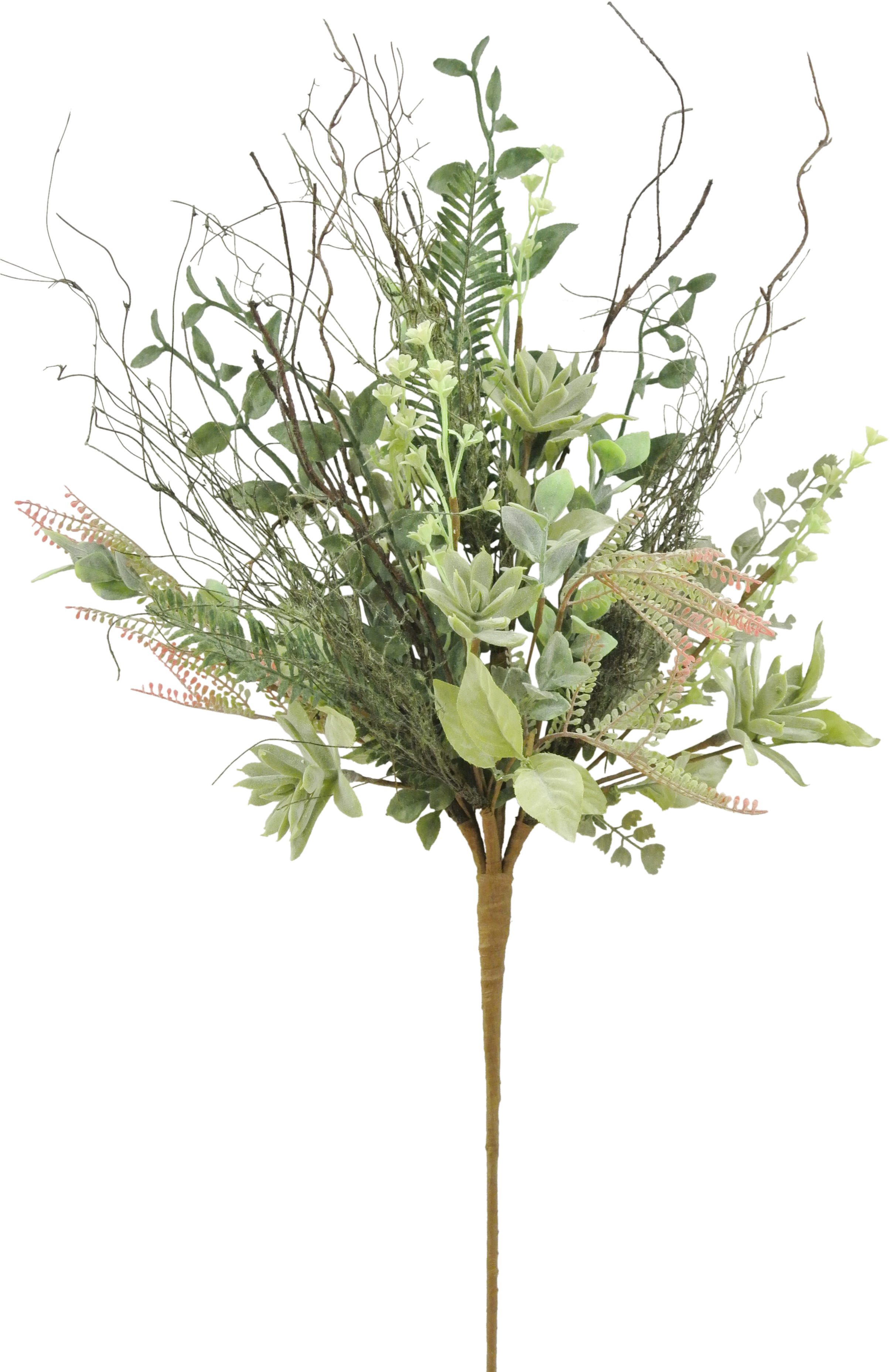 Pond Pine (2414x3750), Png Download