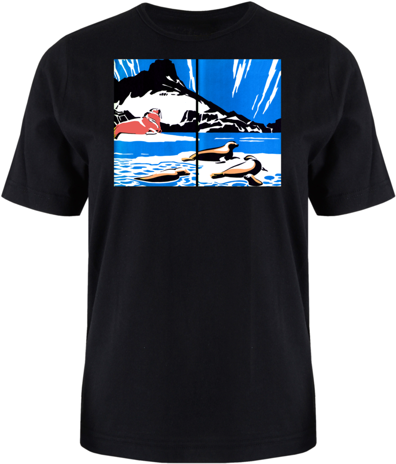 Walrus Seals (1000x1117), Png Download