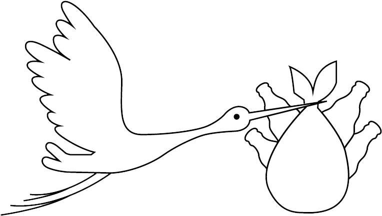 Bird - Illustration (894x468), Png Download