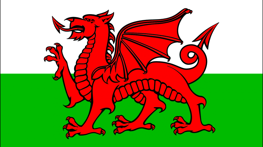The Learning Of Spanish And German To Be Promoted In - St Davids Day 2018 (920x516), Png Download