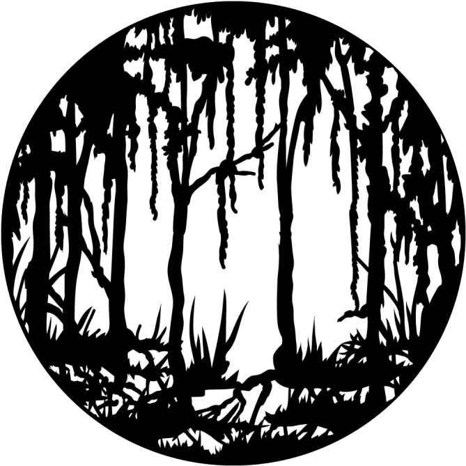 Scary Swamp - Light - Lighting Gobos (800x800), Png Download