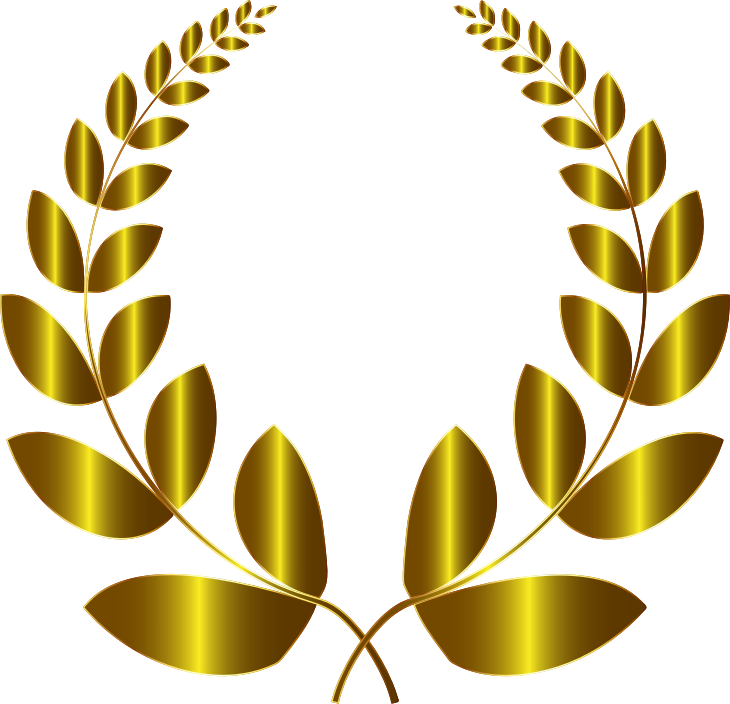 Medium Image - Laurel Wreath Transparent Background (730x704), Png Download