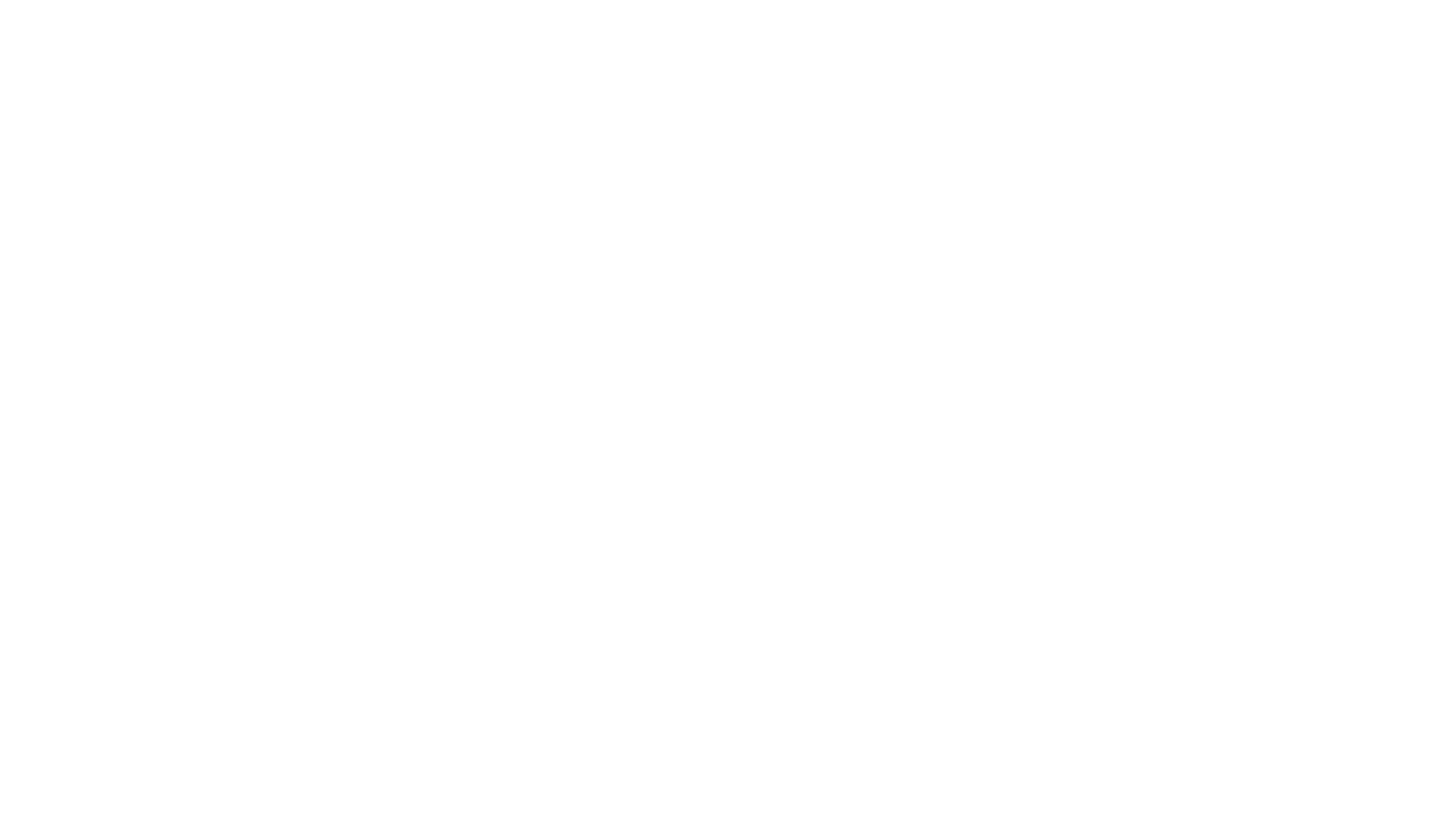 Homedusktoda2018 03 23t14 - Twitter White Bird Logo (1920x1150), Png Download