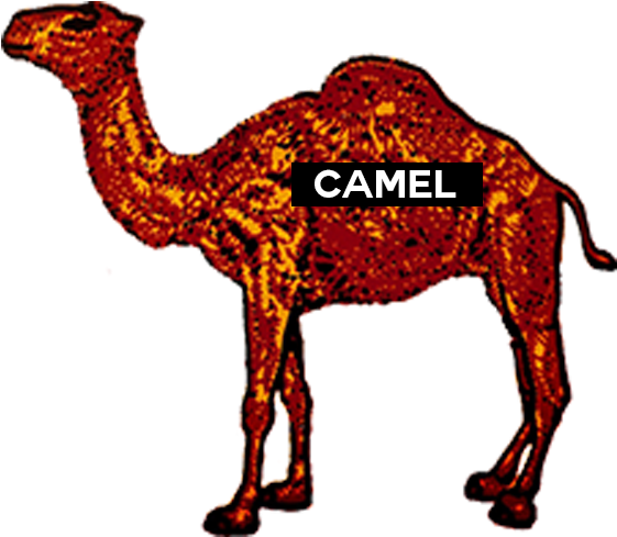 Logos With A Camel (700x700), Png Download