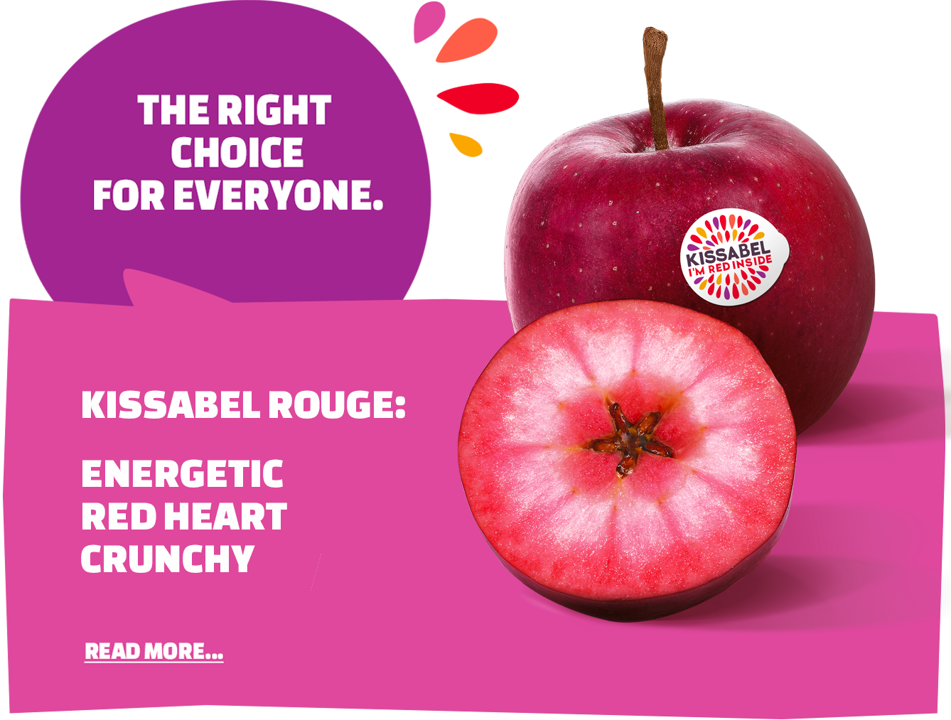 A True Story Written By Nature - Apple (1338x1013), Png Download