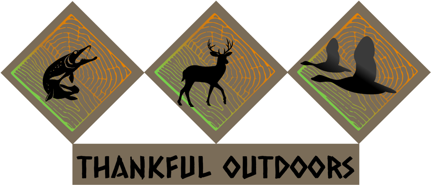 White-tailed Deer (1440x641), Png Download