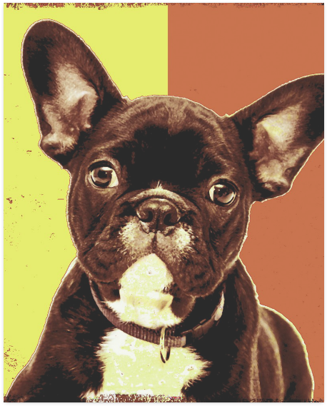 Dog (800x800), Png Download