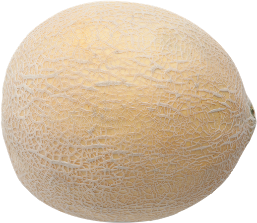 Athena Cantaloupe - Honeydew (600x521), Png Download