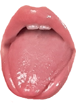 Tongue (321x465), Png Download