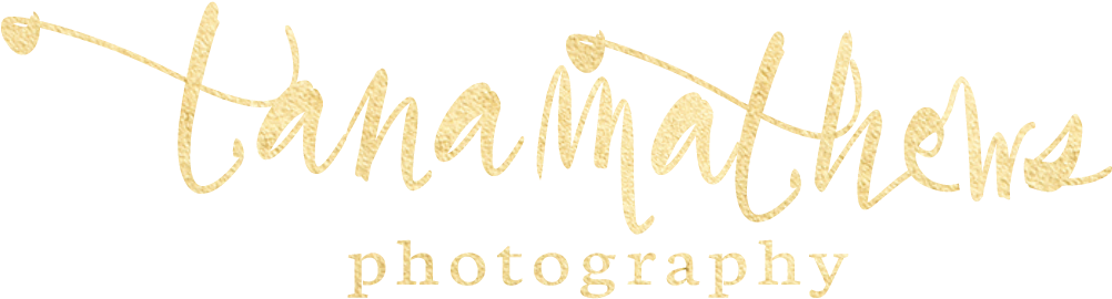 Tana Mathews Photography - Calligraphy (1629x437), Png Download