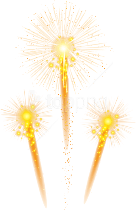 Free Png Fireworks Png - Dandelion (480x739), Png Download