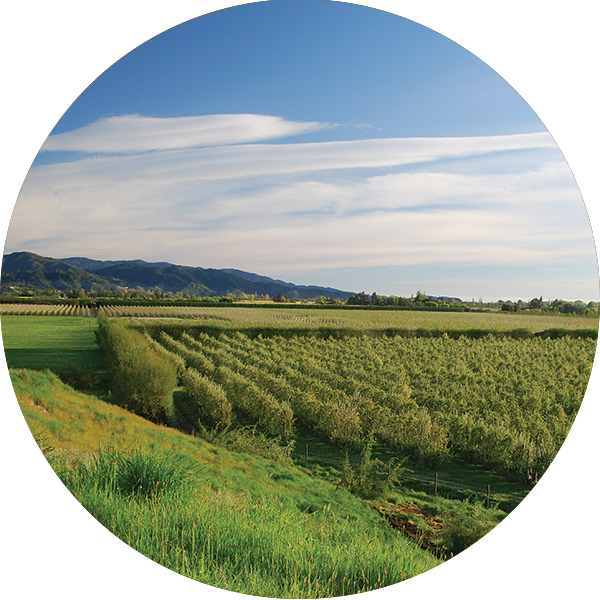 Horticulture - Field (600x600), Png Download