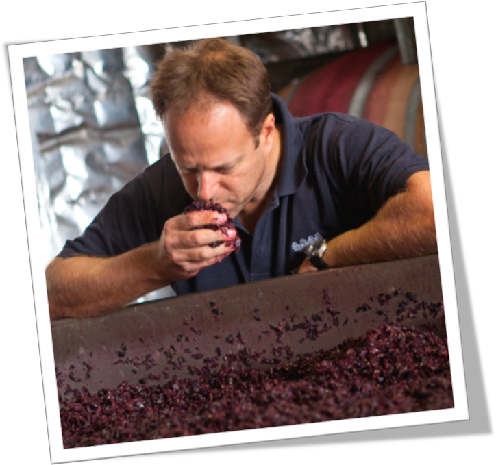 Manager Of Winemaking And Viticulture, Steve James - Picture Frame (732x725), Png Download