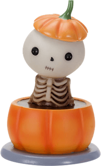 Price Match Policy - Pumpkin (555x555), Png Download