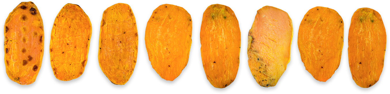 1 1 - Madeleine (1406x363), Png Download